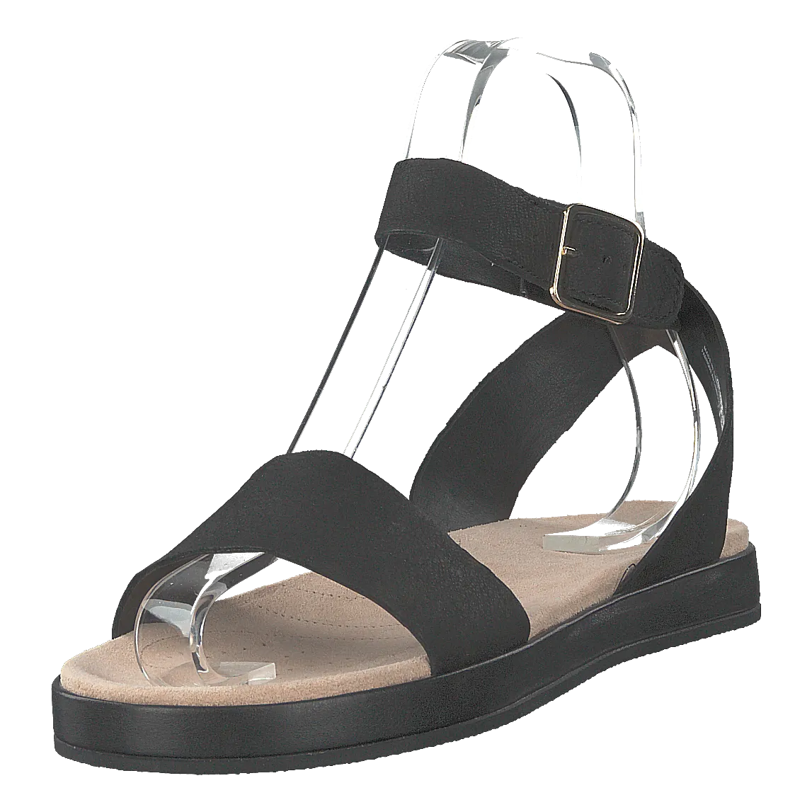 Botanic Ivy Black Leather