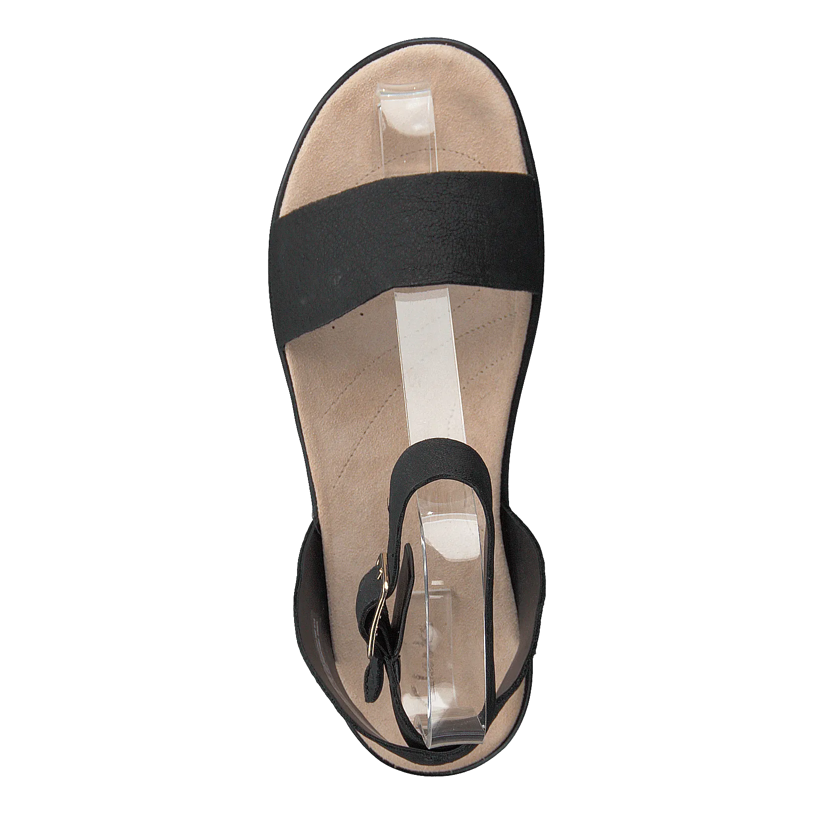 Botanic Ivy Black Leather
